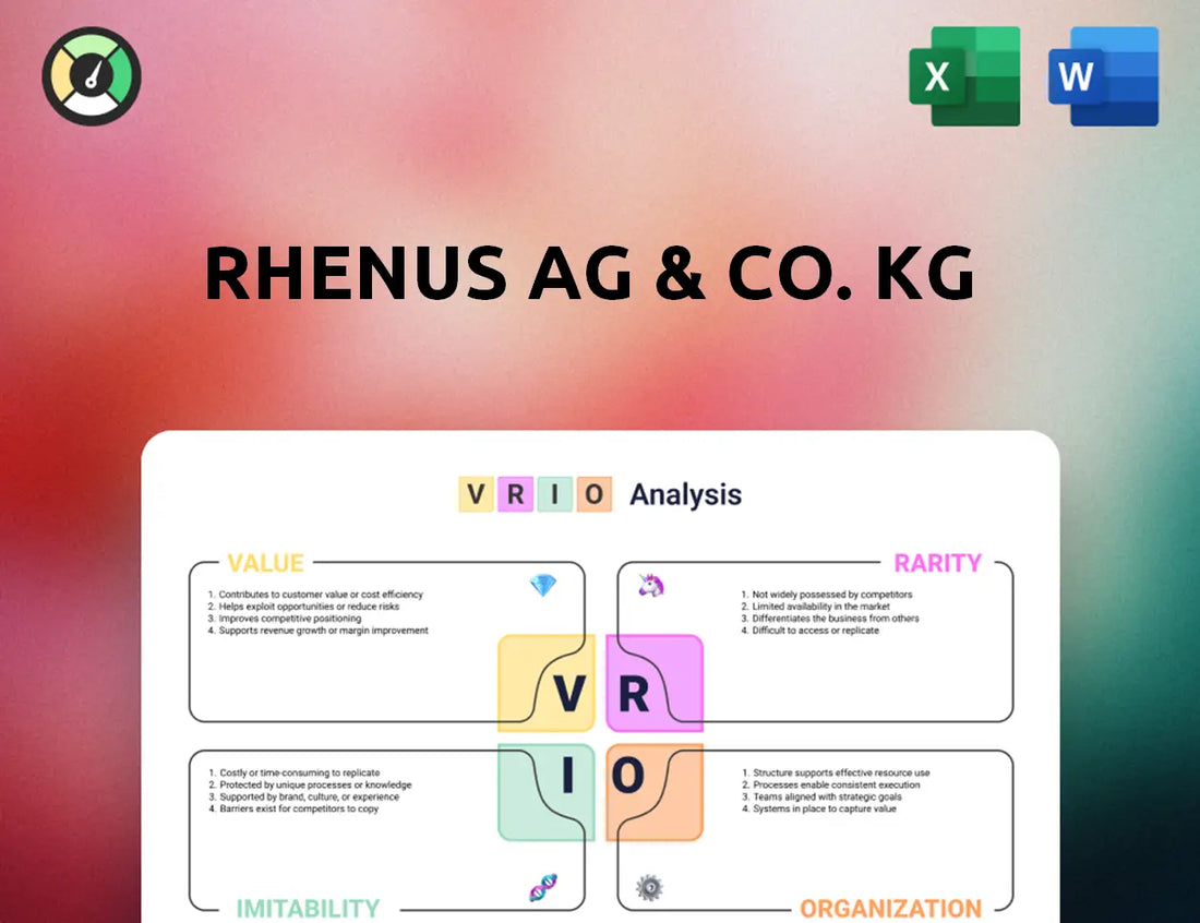 Rhenus AG & Co. KG VRIO Analysis