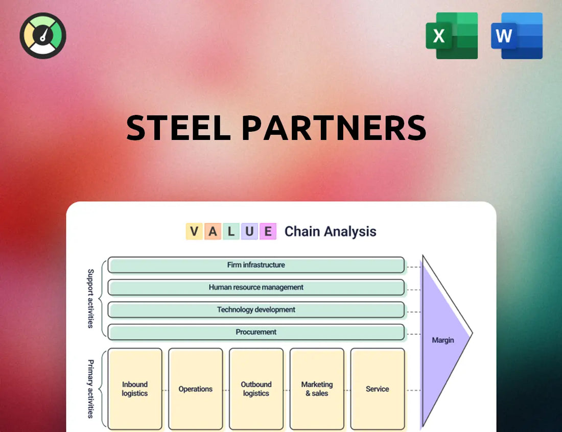 Steel Partners Value Chain Analysis