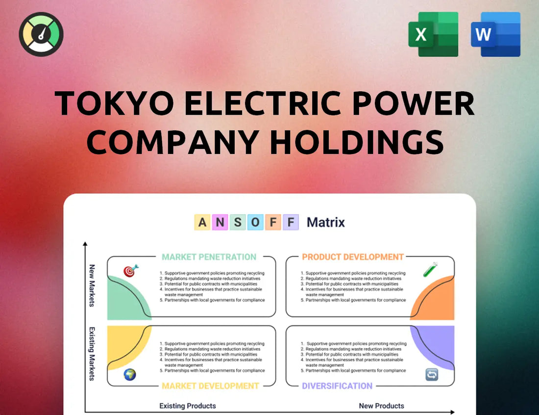 Tokyo Electric Power Company Holdings Ansoff Matrix