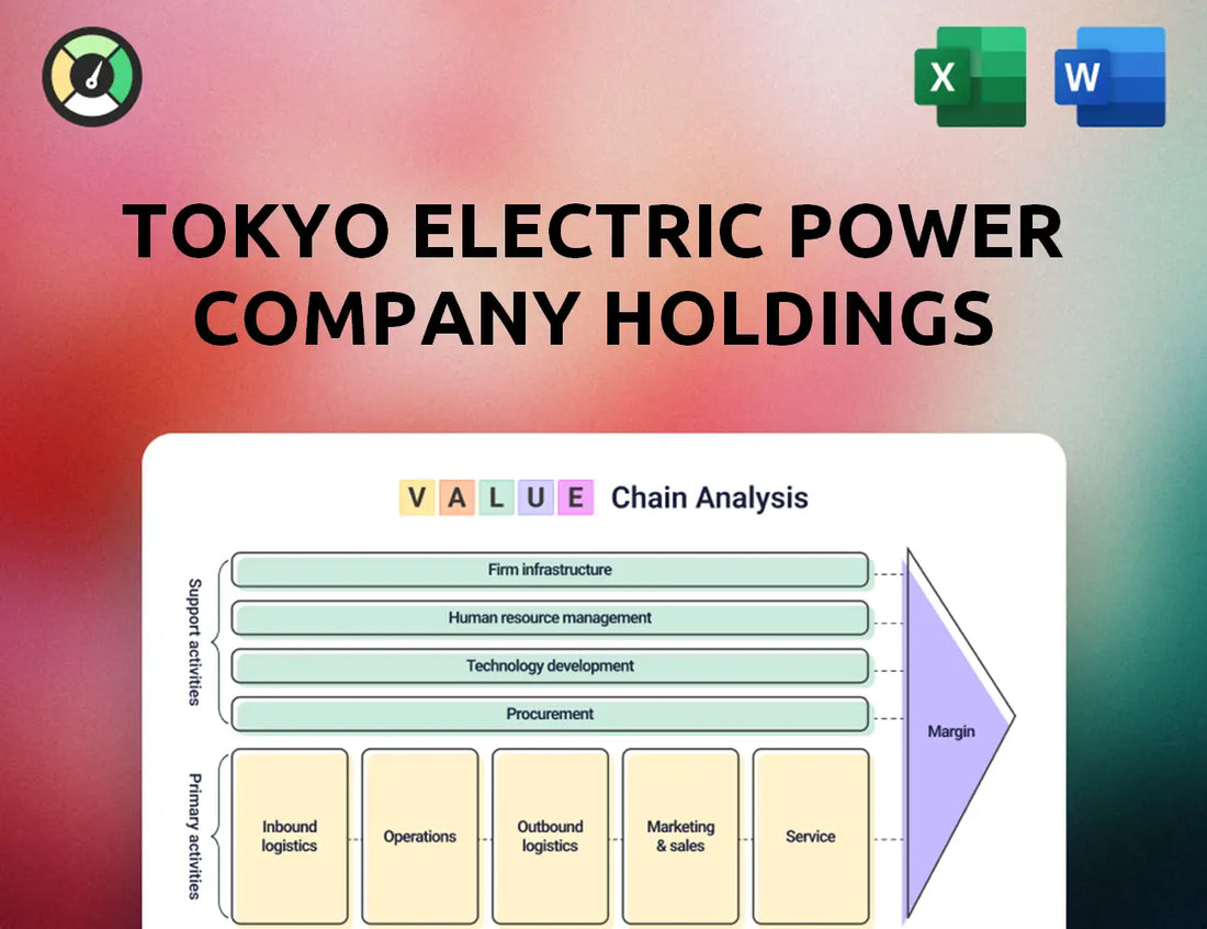 Tokyo Electric Power Company Holdings Value Chain Analysis