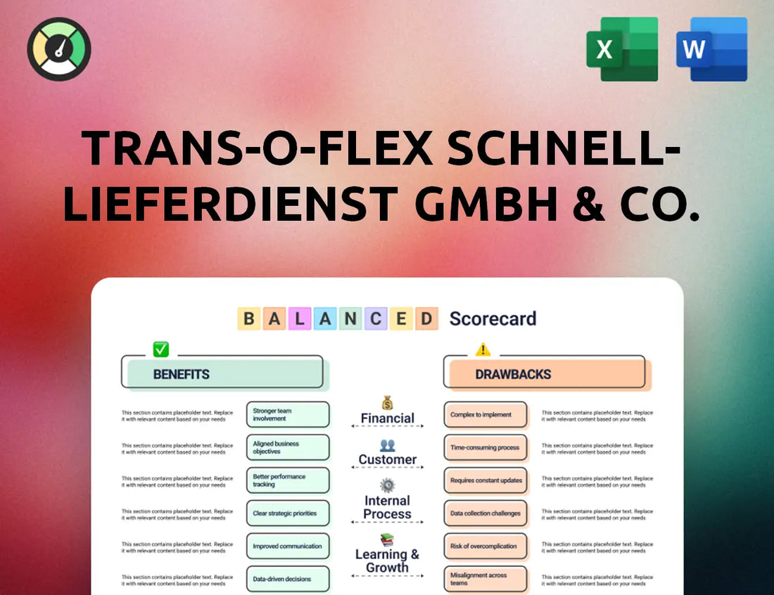 trans-o-flex Schnell-Lieferdienst GmbH & Co. KG Balanced Scorecard