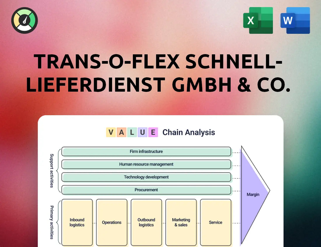 trans-o-flex Schnell-Lieferdienst GmbH & Co. KG Value Chain Analysis