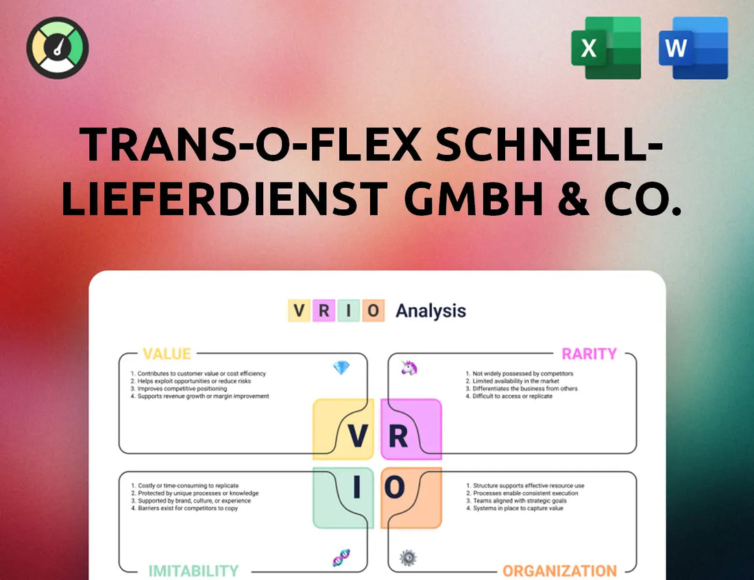trans-o-flex Schnell-Lieferdienst GmbH & Co. KG VRIO Analysis