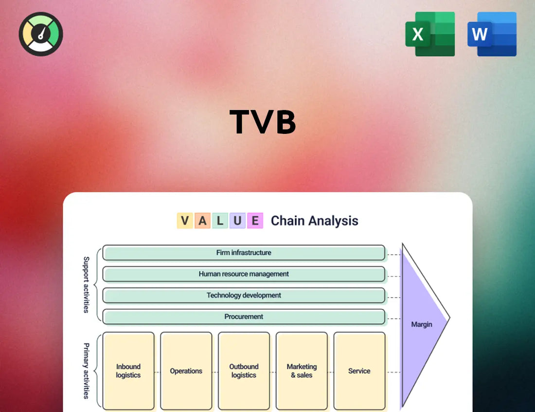 TVB Value Chain Analysis