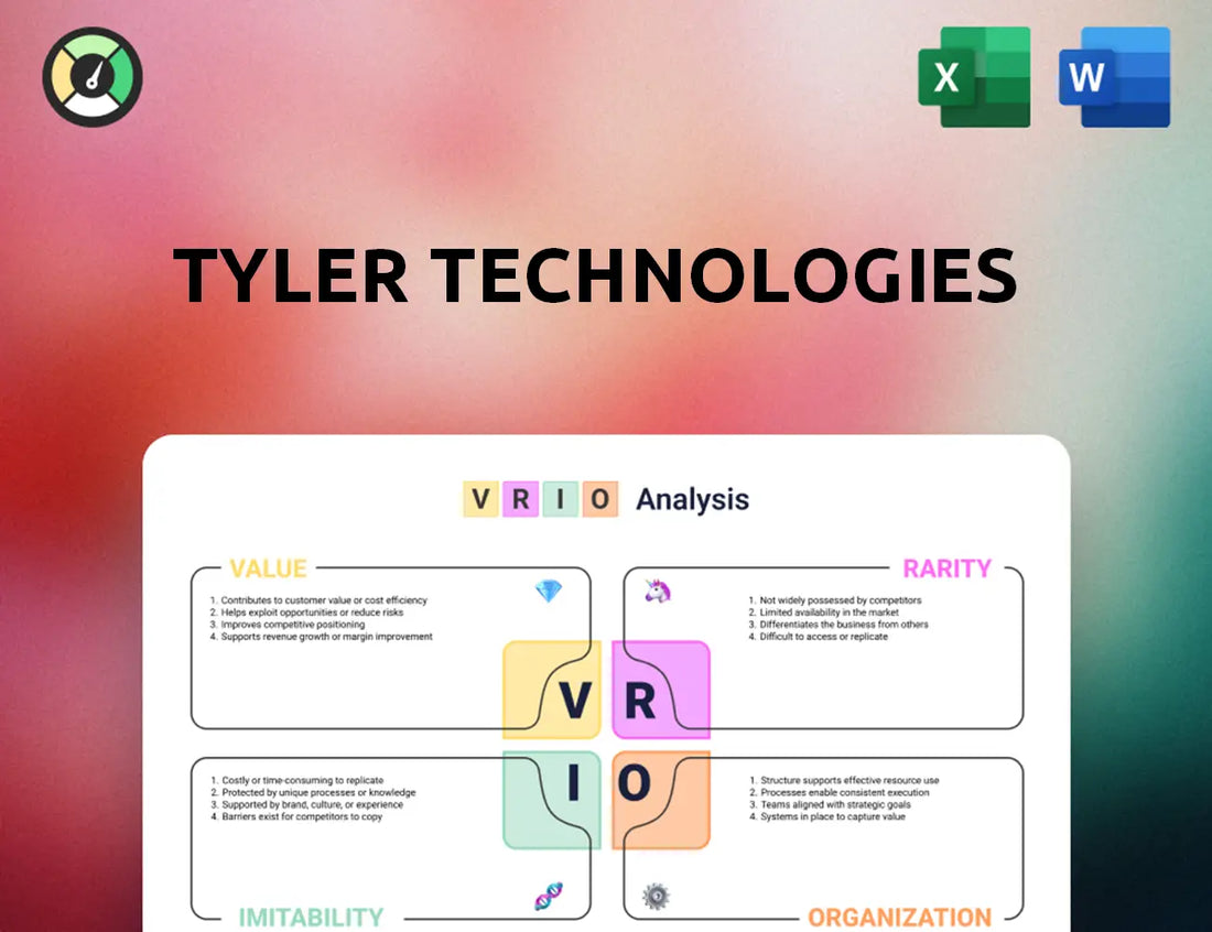 Tyler Technologies VRIO Analysis