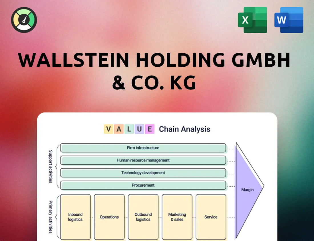 Wallstein Holding GmbH & Co. KG Value Chain Analysis